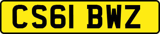 CS61BWZ