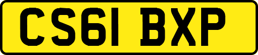 CS61BXP