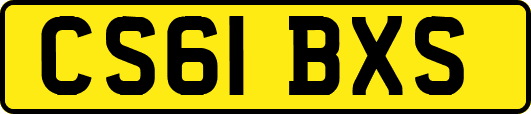 CS61BXS