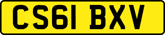 CS61BXV
