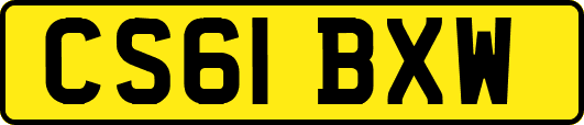 CS61BXW