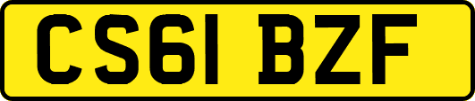 CS61BZF