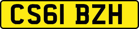 CS61BZH