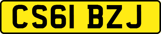 CS61BZJ