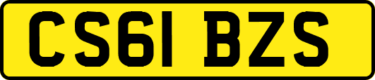 CS61BZS