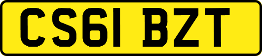 CS61BZT