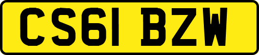 CS61BZW