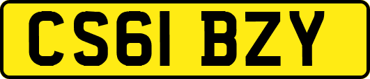CS61BZY