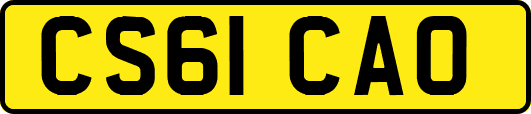 CS61CAO