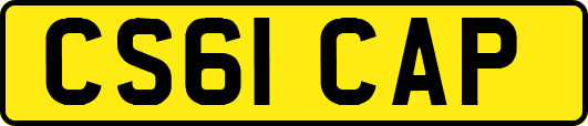 CS61CAP
