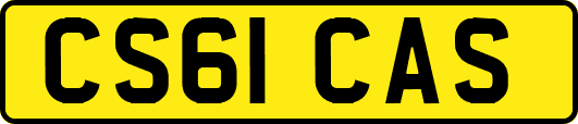 CS61CAS
