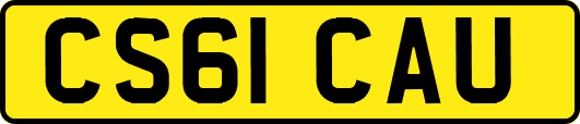 CS61CAU