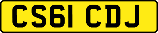 CS61CDJ