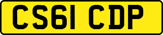 CS61CDP