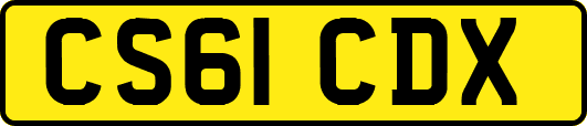 CS61CDX