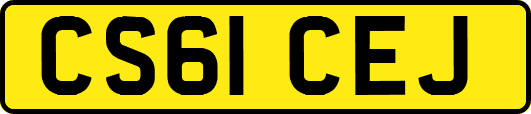 CS61CEJ