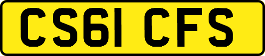 CS61CFS