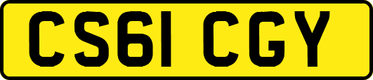 CS61CGY