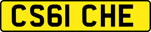 CS61CHE