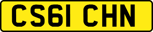 CS61CHN