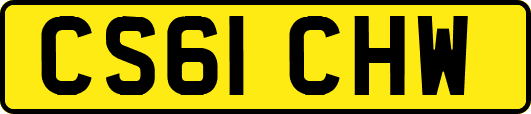 CS61CHW