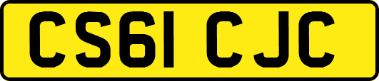 CS61CJC
