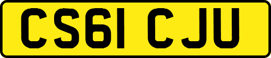 CS61CJU
