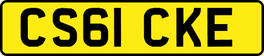 CS61CKE