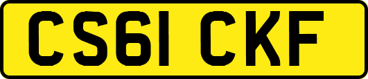 CS61CKF