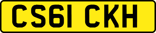 CS61CKH
