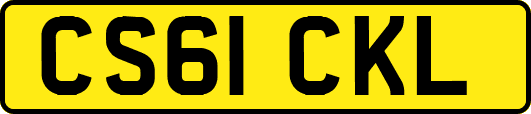 CS61CKL