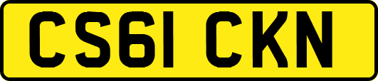 CS61CKN
