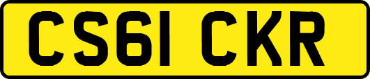 CS61CKR