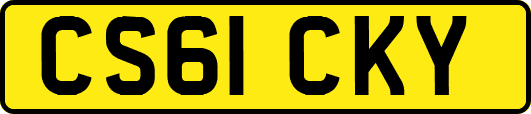 CS61CKY