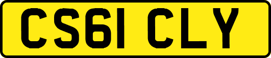 CS61CLY