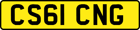 CS61CNG