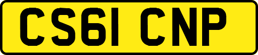 CS61CNP
