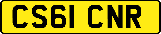 CS61CNR