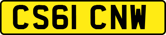 CS61CNW