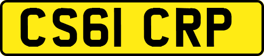 CS61CRP