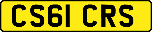 CS61CRS