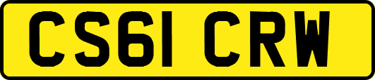 CS61CRW