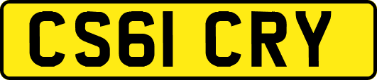 CS61CRY