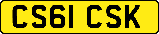 CS61CSK
