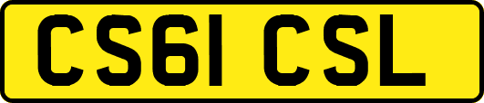 CS61CSL