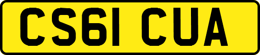 CS61CUA