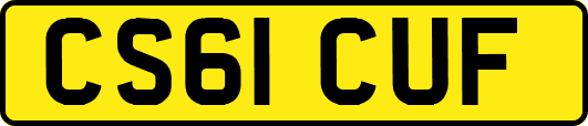 CS61CUF
