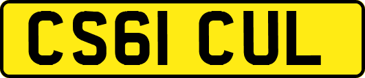 CS61CUL