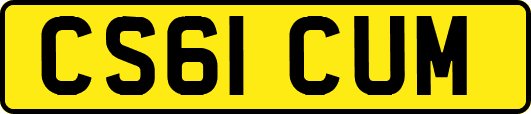 CS61CUM