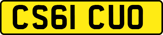 CS61CUO
